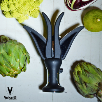 Preview: MSCR2023 Vulkanus Crown